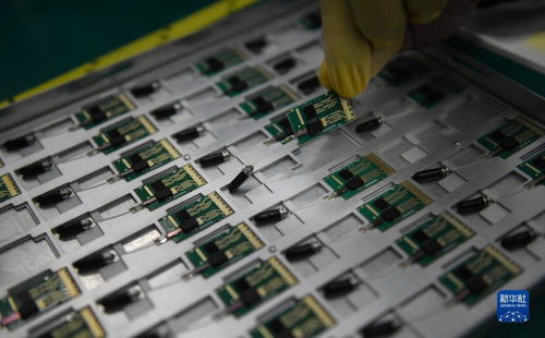 強(qiáng)信心 開新局 靠譜服務(wù) 技術(shù)推銷 標(biāo)準(zhǔn)開路 一家光通信企業(yè)的 出海秘籍